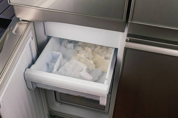 Top Ice Machines for Home and Commercial Use